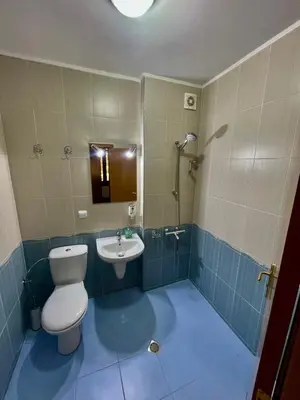 a bathroom with a toilet and a sink at PAMPOROVO Raikovski lodge in Pamporovo
