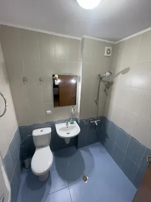 a bathroom with a toilet and a sink at PAMPOROVO Raikovski lodge in Pamporovo
