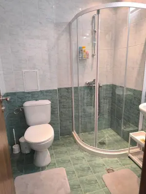 a bathroom with a toilet and a shower at Pine`s Lodge - Cozy studio with free Bottle of Wine, private WiFi, free Parking in Bansko