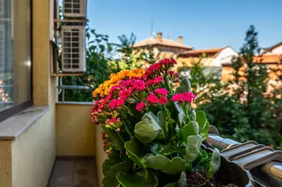 a pot of flowers sitting on a window sill at Апартамен за гости Панови in Plovdiv