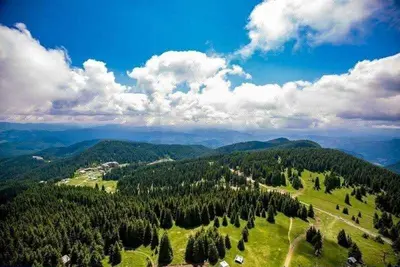 an aerial view of a green valley with trees at Stream Spa Suite in Pamporovo
