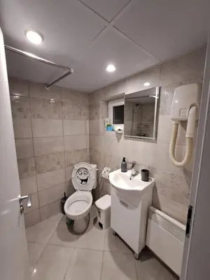 a bathroom with a toilet and a sink at Къща за гости Съкровище in Panagyurishte