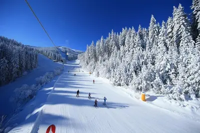 a group of people skiing down a snow covered slope at Alpin Penthouse 2 Bedroom with Fireplace and Mountain View in Bansko