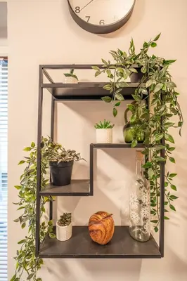 a shelf with plants and a clock on a wall at BB Apartment in Sofia