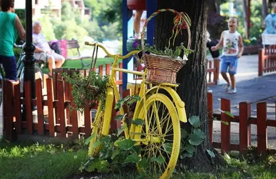 a yellow bike with a basket attached to a tree at Luxury Apartment Rich 3 in Velingrad