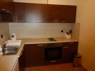 a small kitchen with wooden cabinets and a sink at Two-Bedroom Apartment in Fortuna in Bansko