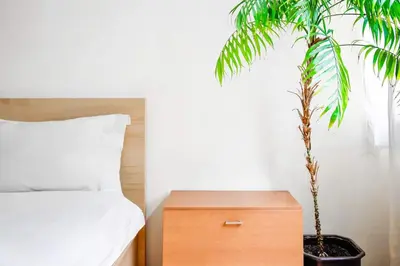 a bedroom with a bed and a plant next to a table at 1BDR Quiet Str Vitoshka Area AC in Sofia
