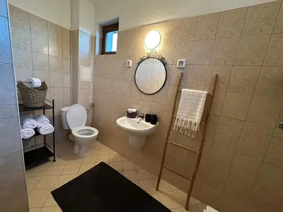a bathroom with a toilet and a sink and a mirror at Villa Vista in Dolna Banya