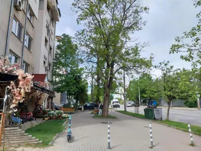 a street with a tree and a building at Independent studio in a house in the city in Sofia