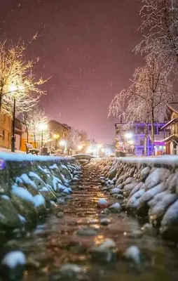 a snow covered street at night with snow covered cars at Belvedere Holiday Club H80 in Bansko