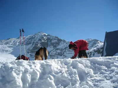 a couple of people in the snow with a dog at Ski liviomoritz at gma il com Chalet in Madzhare