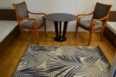 two chairs and a table in a room with a rug at TOP Center, basement fl, 7 beds, 10min from Serdica in Sofia