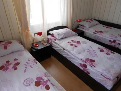 a bedroom with two beds and a window at Guest House Tsenovi in Koprivshtitsa