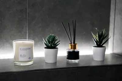 three potted plants sitting on a shelf with a candle at AveNew Luxury Apartment 2 in Sofia