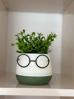 a potted plant with glasses sitting on a table at 1BD Flat near Maritsa river and City Center in Plovdiv