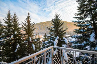 a view of trees on a balcony with snow at Balneocomplex Kamena in Velingrad