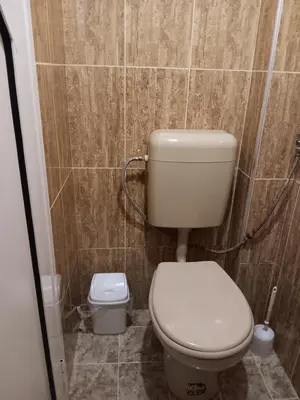 a small bathroom with a toilet and a shower at Apartment Friends in Sandanski