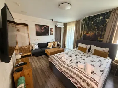 a bedroom with a large bed and a couch at Luxury Studio1 in Hotel Friends in Bansko