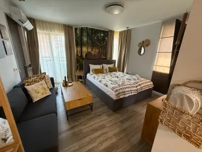 a living room with a bed and a couch at Luxury Studio1 in Hotel Friends in Bansko