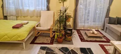 a living room with a bed and a chair at Peaceful studio in the city center, close to subway, Medical University in Sofia