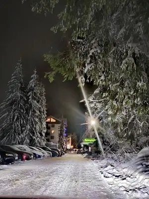 a snow covered street at night with trees and cars at Апартамент за гости в Пампорово in Pamporovo