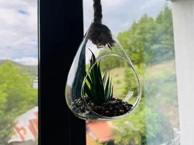 a plant in a glass bowl hanging from a window at PARK ESCAPE Holiday Home 24h check in in Sandanski