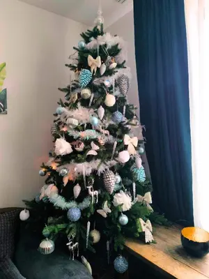a christmas tree with shells on it at Botanique - Cozy stay with free Bottle of Wine in Bansko