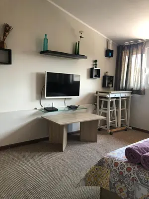 a bedroom with a bed and a desk with a television at Rooftop Central Studio in Sofia