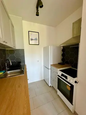 a small kitchen with a sink and a stove at Хубавото място - Ski & Relax next to Pamporovo in Smolyan