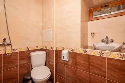 a bathroom with a toilet and a sink at Villa Martina in Smilyan