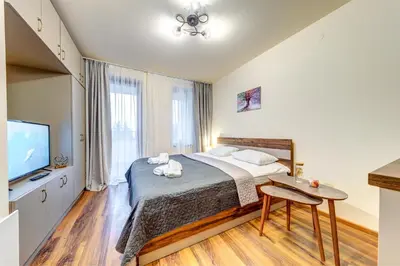 a bedroom with a large bed and a television at Cozy Studio in Grand Resort Pamporovo by Flat Manаger in Pamporovo