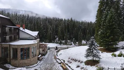 a building with snow on the ground next to a tree at Sun Stream Apartment in Pamporovo