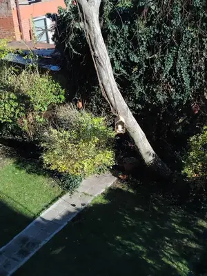 a tree with a bird feeder on it at Art Apart - Top Center in Sofia