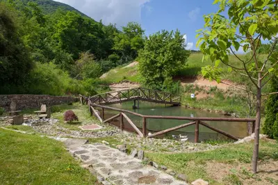 a wooden bridge over a river in a field at Самостоятелна къща за гости с изглед към планината Вила Марк in Kraevo