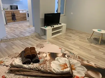 a living room with a pair of shoes and a tv at Southern Hill in Sofia