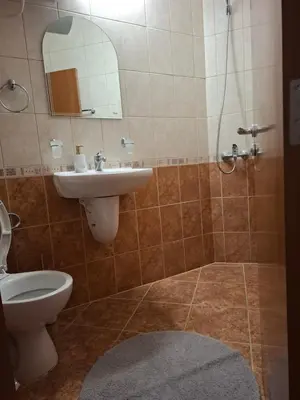 a bathroom with a sink and a toilet and a mirror at Двуспален апартамент Милена в хотел Росица,Пампорово in Pamporovo