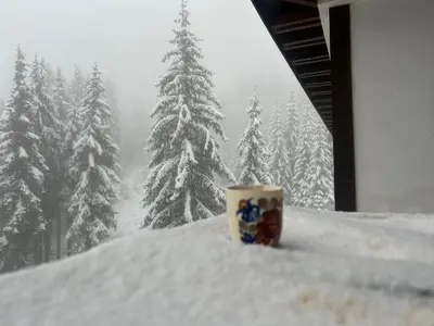a coffee cup sitting on a window sill in the snow at Bambi in Pamporovo