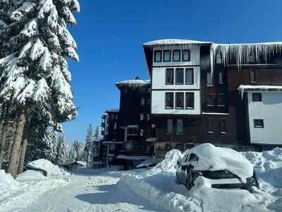 a building covered in snow next to a tree at Bambi in Pamporovo