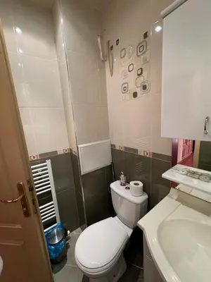 a small bathroom with a toilet and a sink at Mall Bulgaria Apartment in Sofia