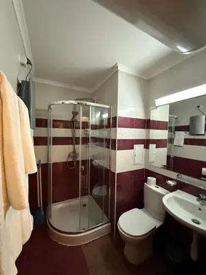 a bathroom with a shower and a toilet and a sink at Pamporovo Grand Monastery Apartment in Pamporovo