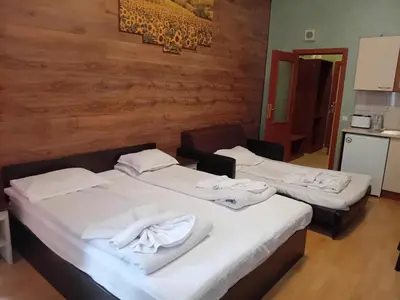 two beds in a room with wooden walls at STUDIO B&K in FLORA BOROVETS in Borovets