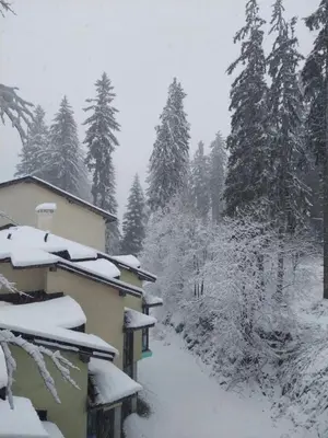 a house covered in snow next to trees at Уютен апартамент за зимна почивка в Пампорово in Pamporovo