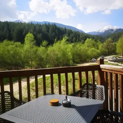 Woodsy views 1 bedroom apartment