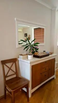 a plant on a counter in a room with a chair at Pravets Lake Home away from home in Pravets
