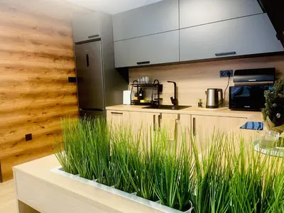 a kitchen with some green plants in a room at Апартамент Гончеви in Velingrad