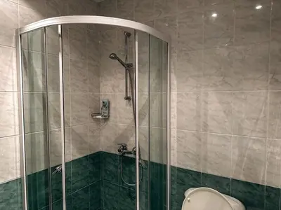 a bathroom with a shower and a toilet at Pirin Apartament in Bansko