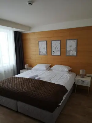 a bedroom with a large bed with a wooden wall at Forest Chamkoria Apartment in Borovets