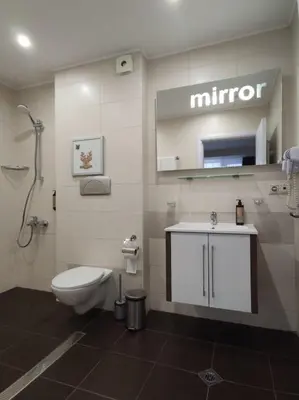 a bathroom with a toilet and a sink and a mirror at Forest Chamkoria Apartment in Borovets