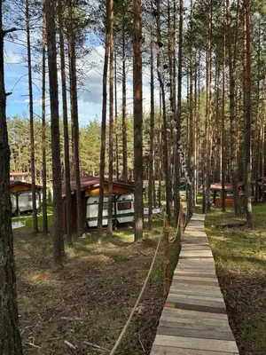 a wooden path through a forest with trees at Къмпинг Alino Lake in Alino