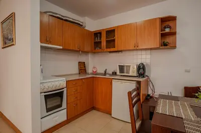 a kitchen with wooden cabinets and a white appliance at Holiday home with indoor fireplace in Pamporovo